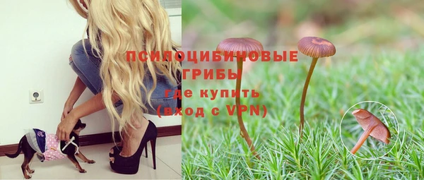 соль курить ск Армянск