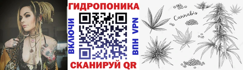 Купить где  Минеральные Воды  Каннабис White Widow 